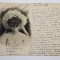CARTE POSTALA , ILUSTRATA PE VERSO , LES SAISONS DES DENTS , 1900