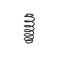 Arc suspensie spate, Audi Tt (Fv3, Fvp), 07.2014-, Varianta echipare : incluzand S-line