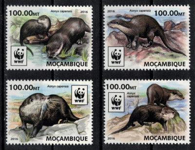 MOZAMBIC 2016 - Fauna, Vidre /serie completa MNH foto