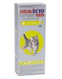 Bravecto Plus 112.5mg Pisici Mici (1.2 - 2.8 kg) pentru purici, căpușe și