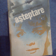 a6 ASTEPTARE - Elena Gronov-Marinescu