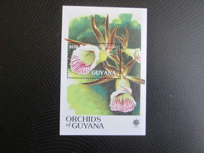 GUYANA ORCHIDS MNH=67 foto