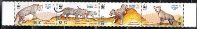 OMAN 2004, Fauna - WWF, MNH foto