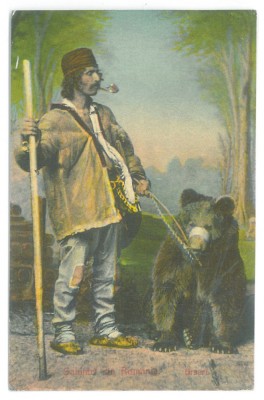 873 - URSAR, Romania - old postcard - unused foto