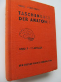 Taschenbuch der Anatomie (vol. 3) - Hermann Voss , Robert Herrlinger