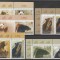 Fauna - Urși 2008, serie cu vinietă, LP 1799a, MNH