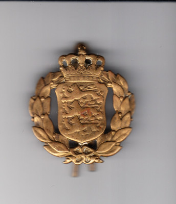 Insemn de regiment de infanterie Danemarca foto