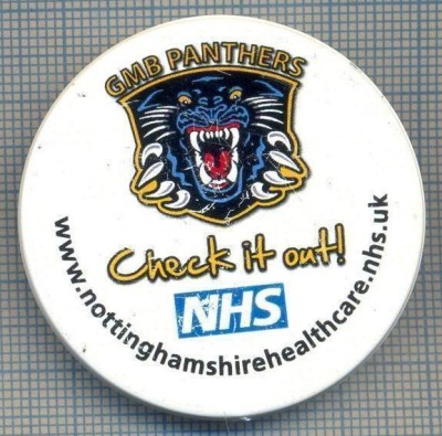 AX 639 INSIGNA- GMB PANTHERS -PANTERELE DIN NOTTINGHAM -CLUB BRITANIC DE HOCHEI foto