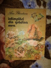 Intamplari din gradina mea - Ana Blandiana / carte poezii copii , an 1986, ilustratii: Doina Botez , 121 pagini