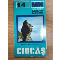 MUNTII NOSTRI NR. 14 : MUNTII CIUCAS