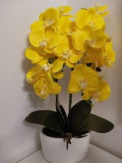 Planta Orhidee galbena flori-cadou gradina ghiveci floare artificiala SILICON foto