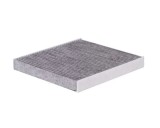 Filtru polen carbon, habitaclu Aster AS2633
