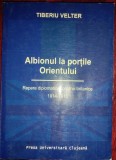 Albionul la porţile Orientului : repere diplomatice rom&acirc;no-britanice, 1914-1918