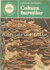 Cultura Buretilor - Nicolae Mateescu foto