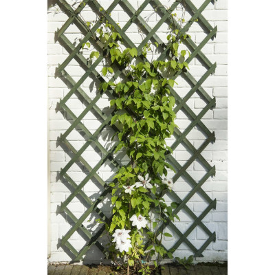 Nature Spaliere de gradina, 2 buc., verde, 50 x 150 cm, lemn foto