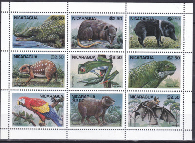 DB1 Fauna America de Sud Paraguay MS MNH foto