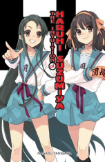 The Intuition of Haruhi Suzumiya (Light Novel) foto