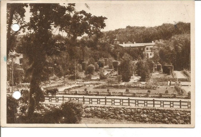 (A) carte postala-SOVATA-Baile