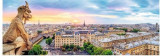 Puzzle panoramic Trefl 1000 View from the Cathedral of Notre-Dame de Paris