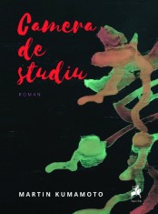 Camera de studiu - Tracus Arte foto