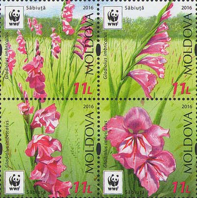 MOLDOVA 2016, Flora, WWF, serie neuzata, MNH