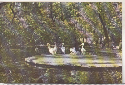 bnk cp Bucuresti - Gradina Cismigiu - circulata foto