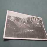 Cumpara ieftin CARTE POSTALA DIHAM -MASIVUL BUCEGI CIRCULATA