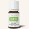 Ulei esential din seminte de telina + (Celery seed+) 5ml