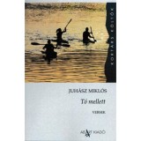 T&oacute; mellett - Juh&aacute;sz Mikl&oacute;s