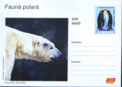 Intreg postal CP nec.2007 - Fauna Polara - ursul polar foto