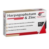 Harpagophytum si Zinc Farma Class 40cps