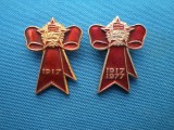 INSIGNE ANIVERSARE A REVOLUTIEI DIN RUSIA 1917