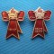 INSIGNE ANIVERSARE A REVOLUTIEI DIN RUSIA 1917
