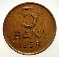 1.509 ROMANIA RPR 5 BANI 1956 foto