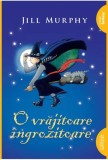 O vrajitoare ingrozitoare. Seria O vrajitoare ingrozitoare Vol.1 - Editura Grupul Art