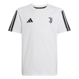 Juventus Torino tricou de bărbați Tee white - XL