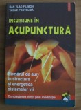 Incursiune in acupunctura - Dan Vlad Filimon