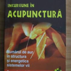 Incursiune in acupunctura - Dan Vlad Filimon