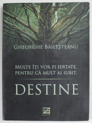 DESTINE de GHEORGHE BAILESTEANU , MULTE ITI VOR FI IERTATE , PENTRU CA MULT AI IUBIT . , 2014 foto