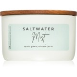 Milkhouse Candle Co. Statement Saltwater Mist lum&acirc;nare parfumată 283 g