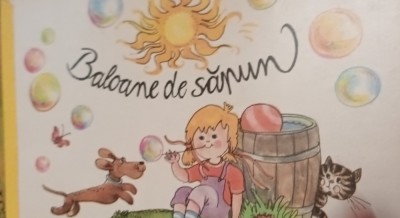 BALOANE DE SAPUN CARTONATA foto
