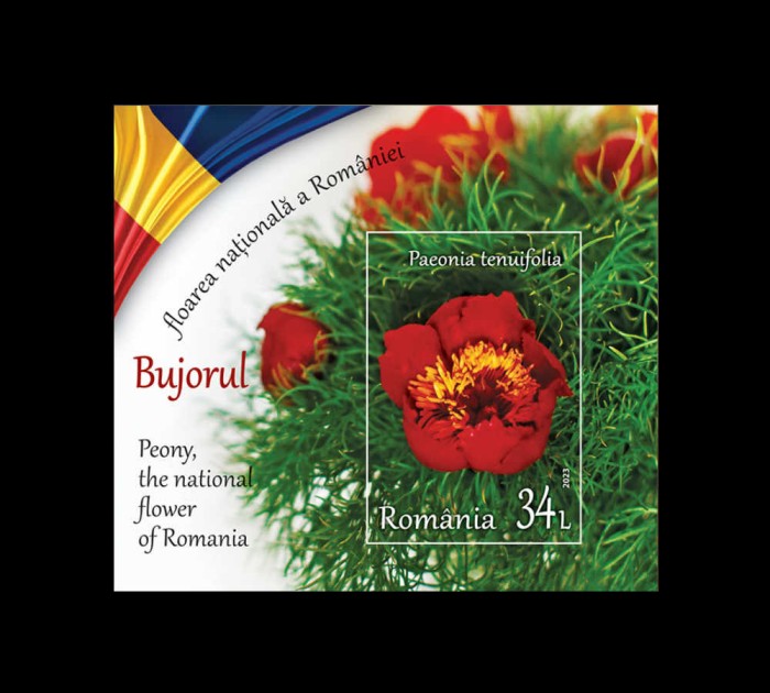 ✅RO 2023 ,LP 2418a,&quot;Bujorul, floarea naț. a Rom&acirc;niei&quot;,colita 948,tiraj 3.250,MNH