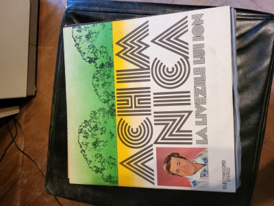 Vinyl Achim Nica La livezile lui Ion vintage foto