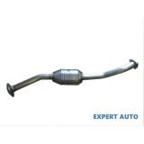 Catalizator Fiat Ducato (2002-2006)