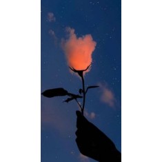 Husa Personalizata NOKIA 7 Rose Cloud