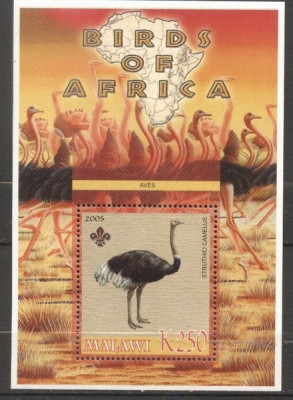 Malawi 2005 Wild Animals, Africa, Ostriches, perf. sheet, MNH S.222 foto