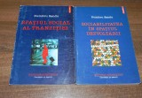 Dumitru Sandu - Spatiul social al tranzitiei