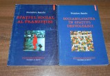 Dumitru Sandu Sociabilitatea in spatiul dezvoltarii Spatiul social al tranzitiei