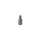 Bit torx M6 10mm - 2