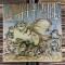 Disc Vinil RAR! ALICE &Icirc;N ȚARA MINUNILOR &ndash; Lewis Caroll (1984) EX povești, teatru